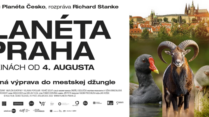 Planéta Praha v kinech od 4. augusta