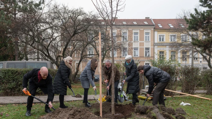 Strom Olgy Havlové byl zasazen v Bratislavě