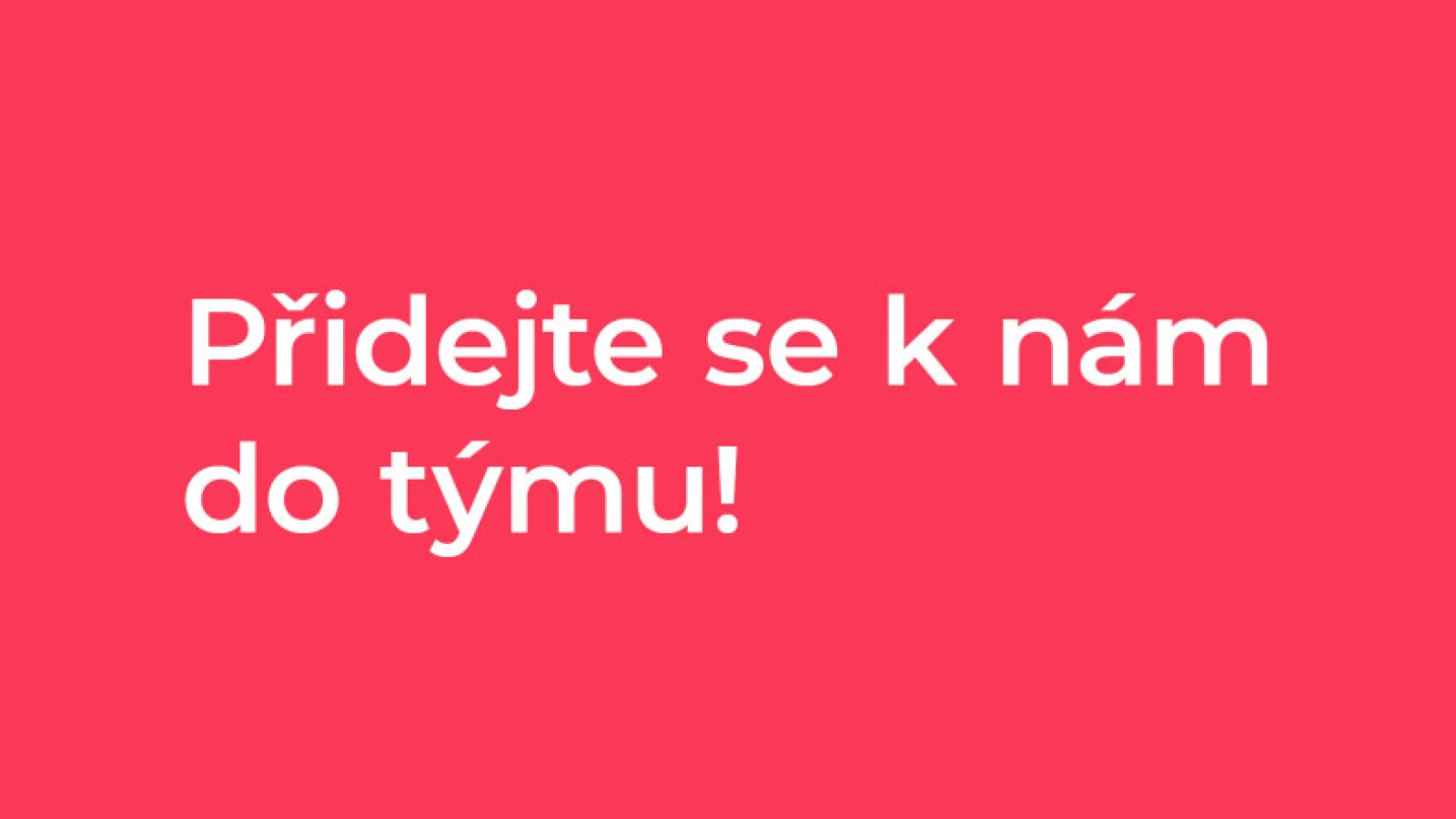 Letná stáž v Českom centre 