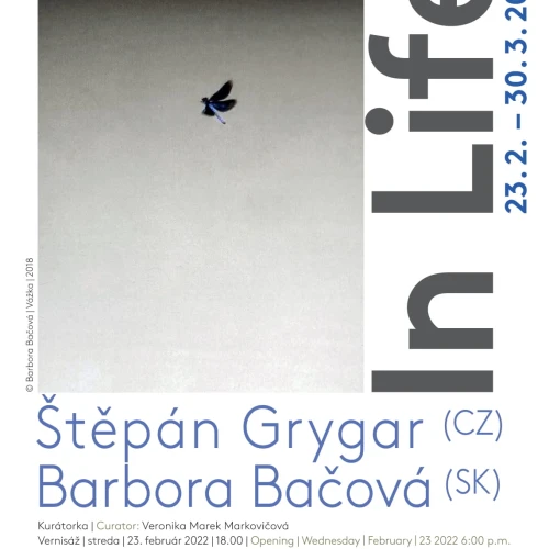 Štěpán Grygar, Barbora Bačová | In Life