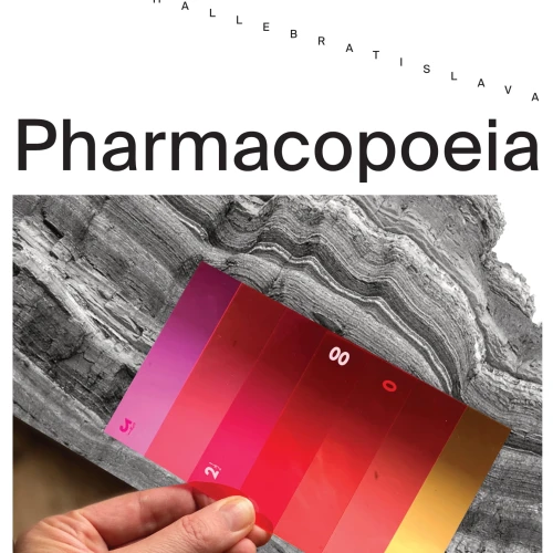 Anetta Mona Chişa & Aleksandra Vajd: Pharmacopoeia