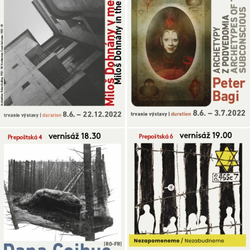 4x6 EXPO(zice)