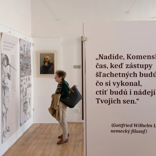 Labyrint sveta v Martine
