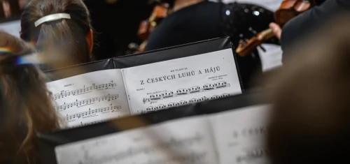 Bedřich Smetana: Má vlast