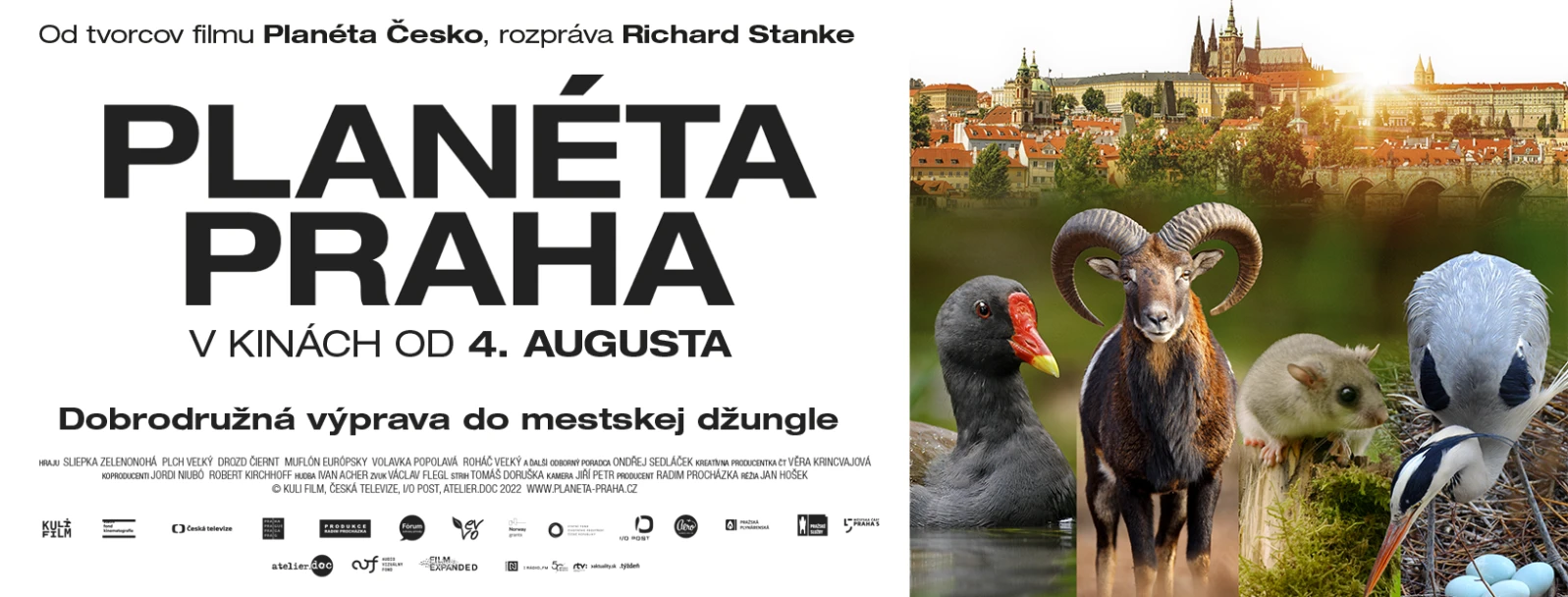 Planeta Praha  v kinech od 4. srpna