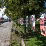 zatopek_vystava_bratislava_foto-peter-korcek_web_0011.jpg