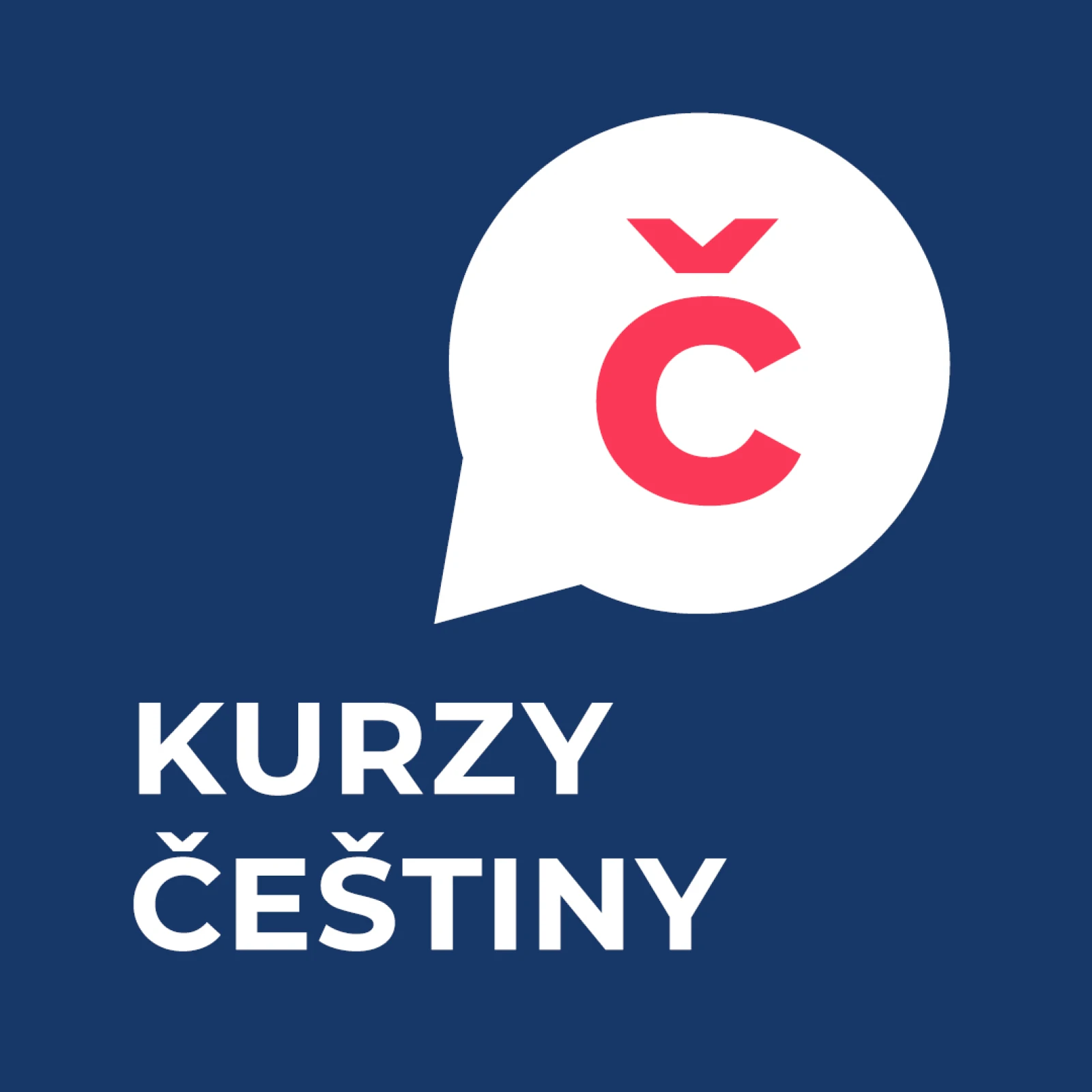 Kurz českého jazyka