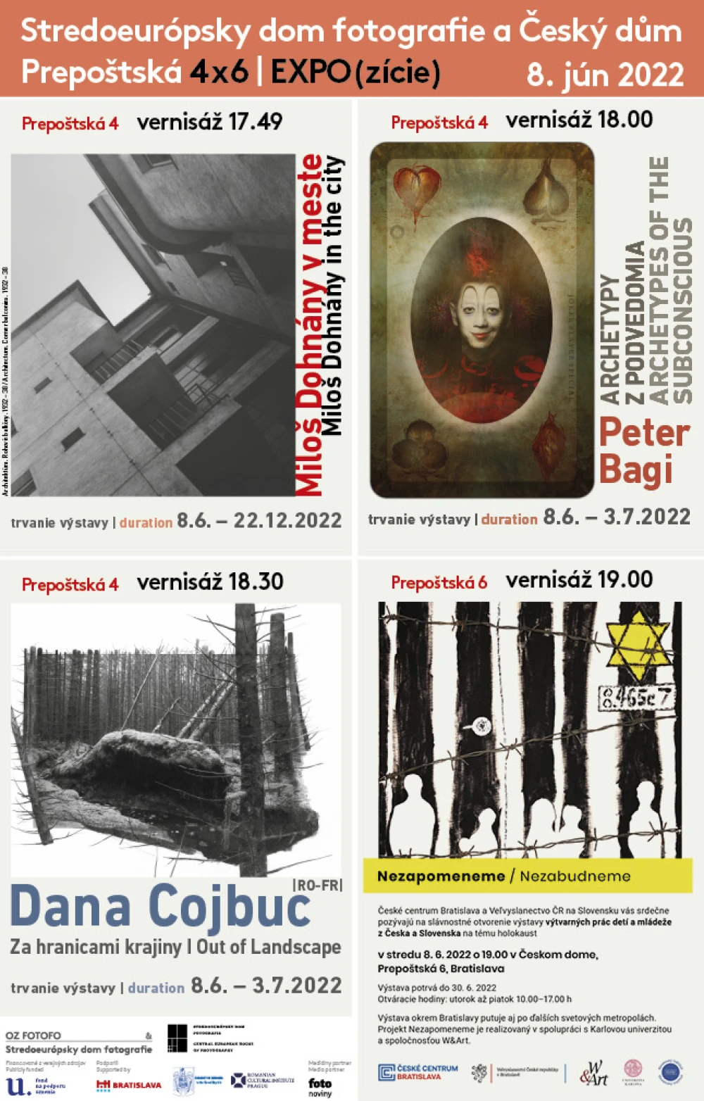 4x6 EXPO(zice)