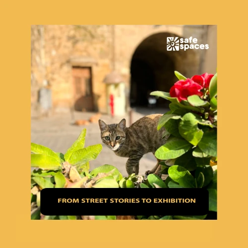 Safe Spaces: Výstava From Street Stories to Exhibition