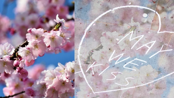 Czech Centre Newsletter - May 2025