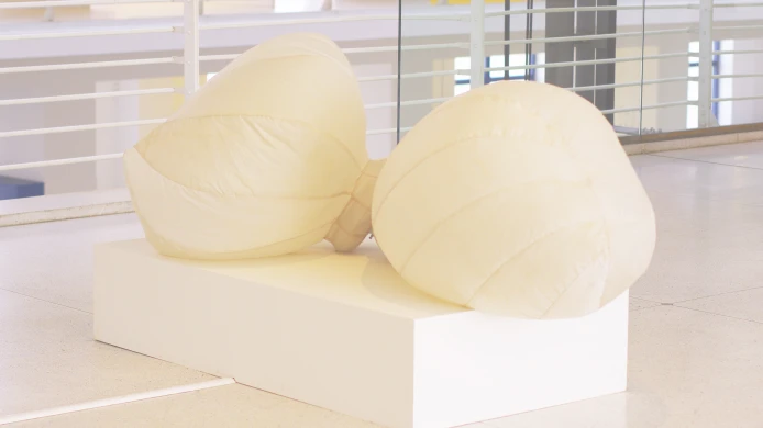 ‘Breathing’ with ‘Breaths – Air Bladders’ and Silent Systems: Breathing Devices – two interconnected exhibitions reshape the way we think about breathing