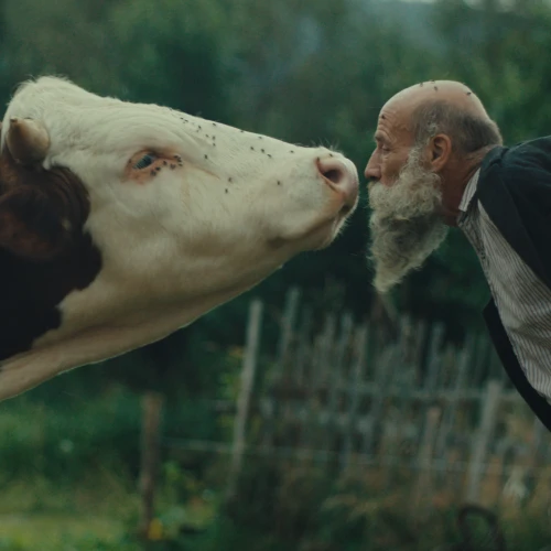 Better Go Mad in the Wild + Q&A with director Miro Remo