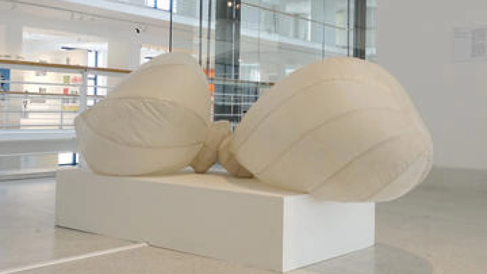 České centrum doporučuje: Filomena Borecká – dýchání s “Breaths – Air Bladders”