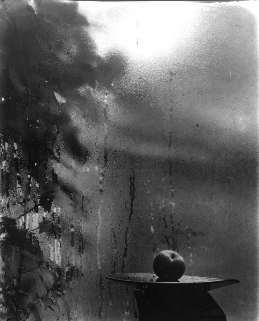Josef Sudek, From the series Still Life on the Window of My Studio, 1944, 23 × 29 cm, from the PPF Art Collection