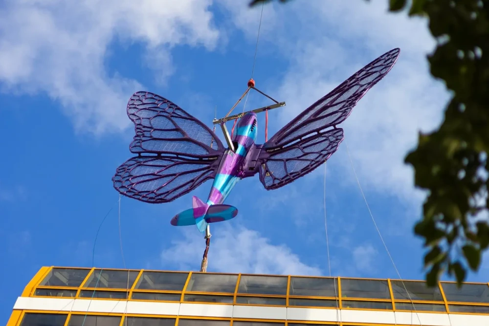 David Černý: Butterfly Effect