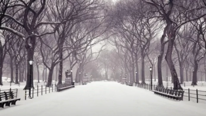 Happy Holidays from EUNIC Cluster New York!