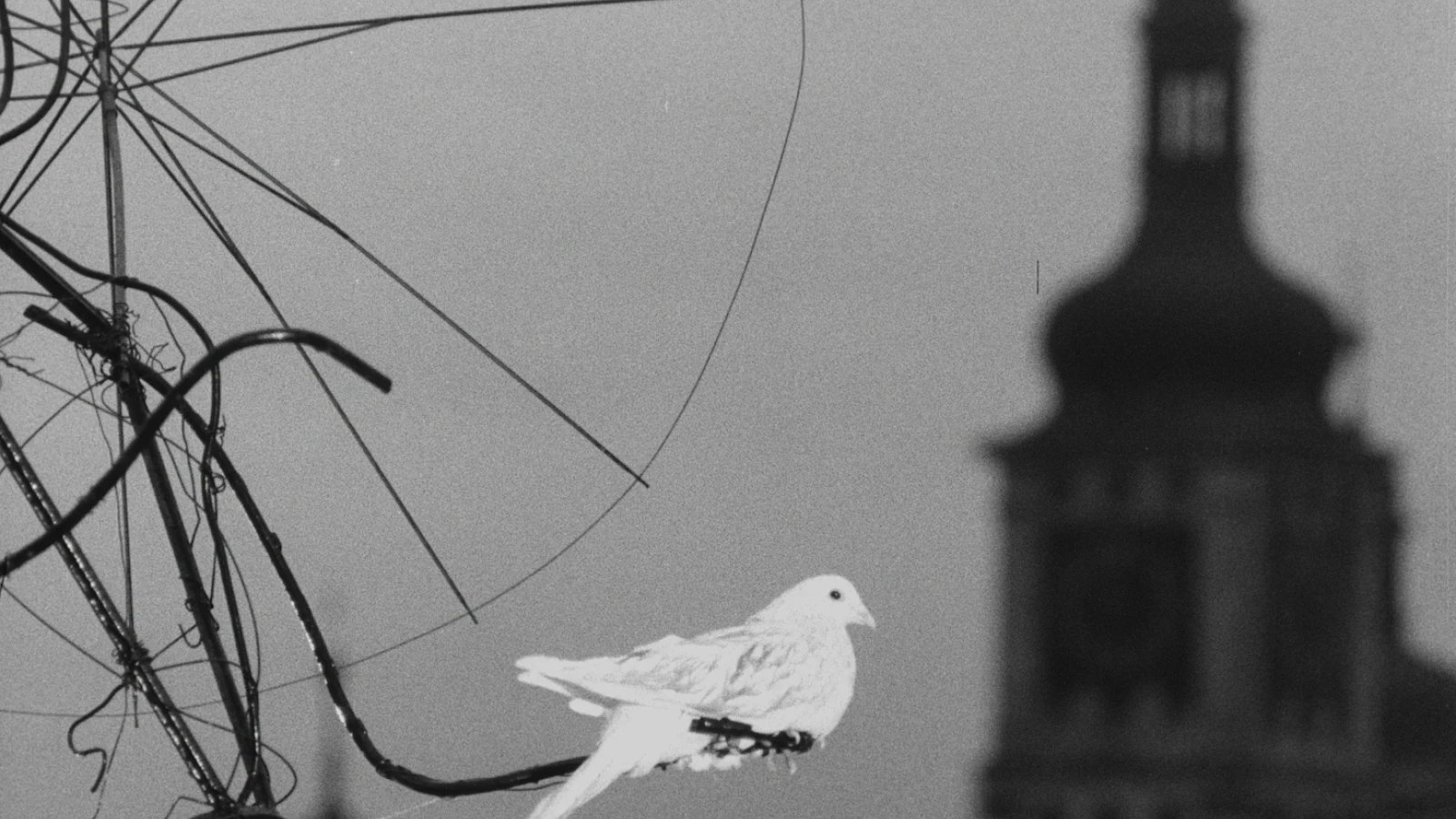 František Vláčil Retrospective on DAFilms