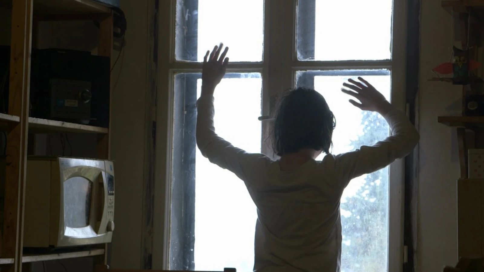 Normal Autistic Film, JIDFF 2016