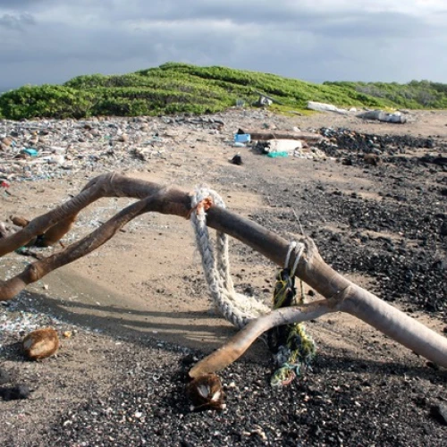 Anthropocene – Invisible Changes: Project Presentation
