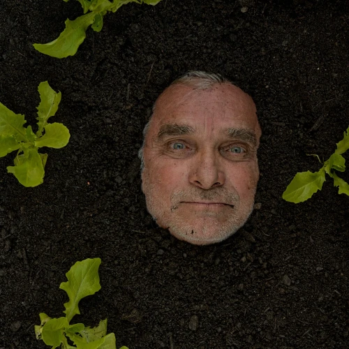 The Gardener's Year