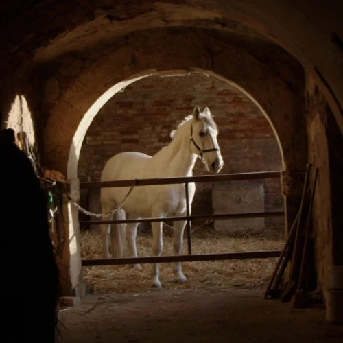 Between the Ditches and Ramparts: screening + discussion