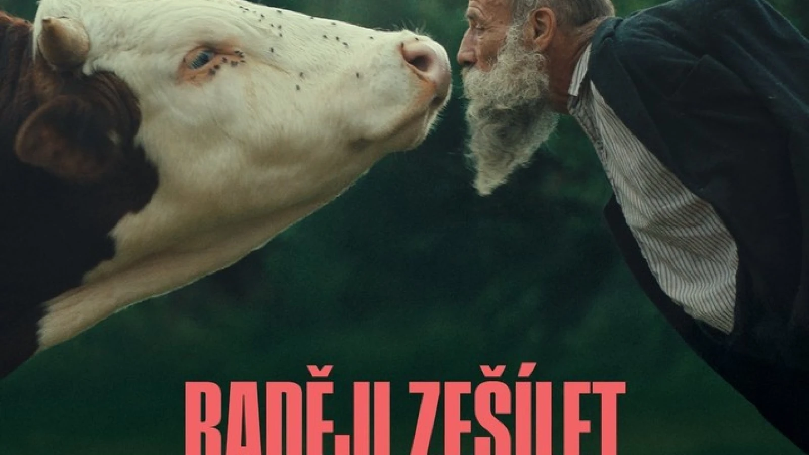 Raději zešílet v divočině