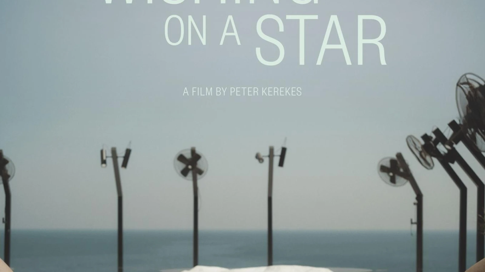 Wishing on a Star