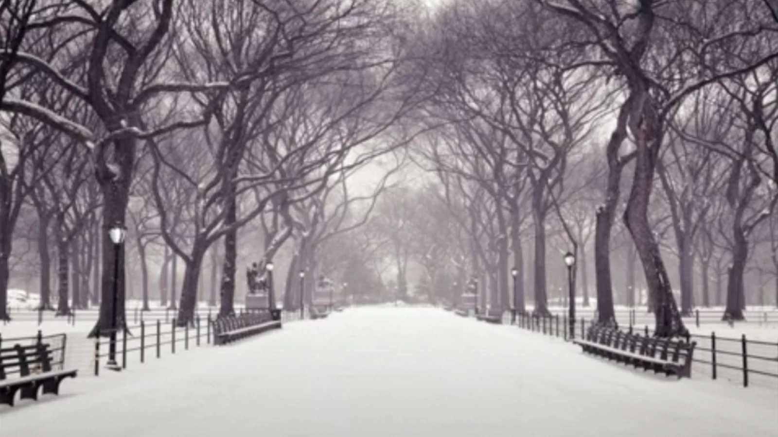 Happy Holidays from EUNIC Cluster New York!