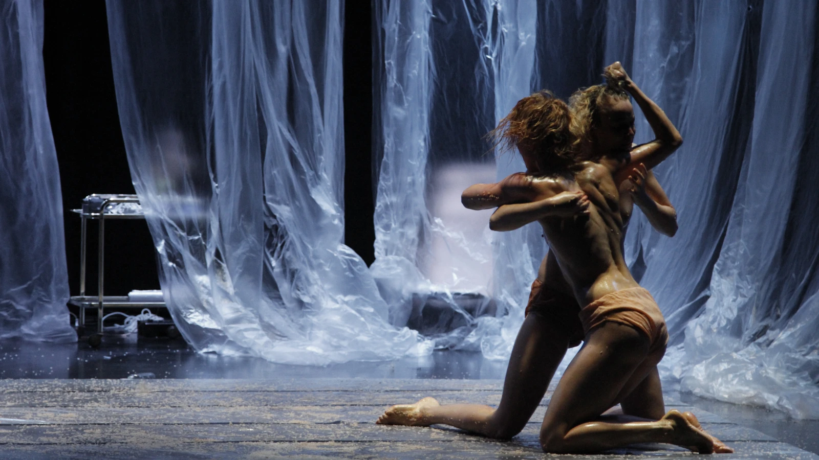Forced beauty. Photo © Jan Hustak