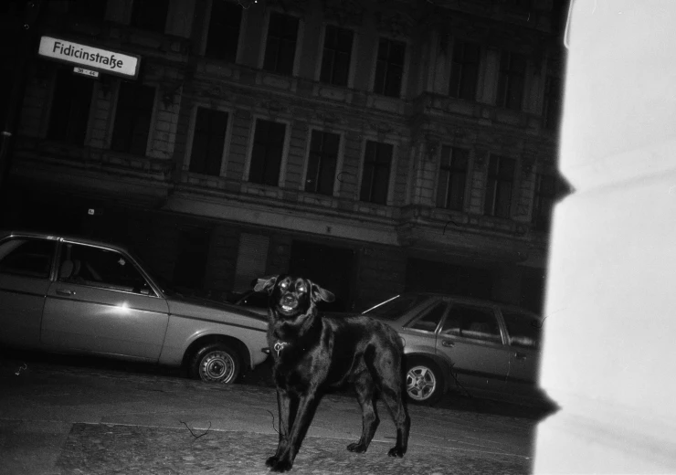 i_m-not-everything-i-want-to-be---still-5__c_libuse-jarcovjakova.jpg