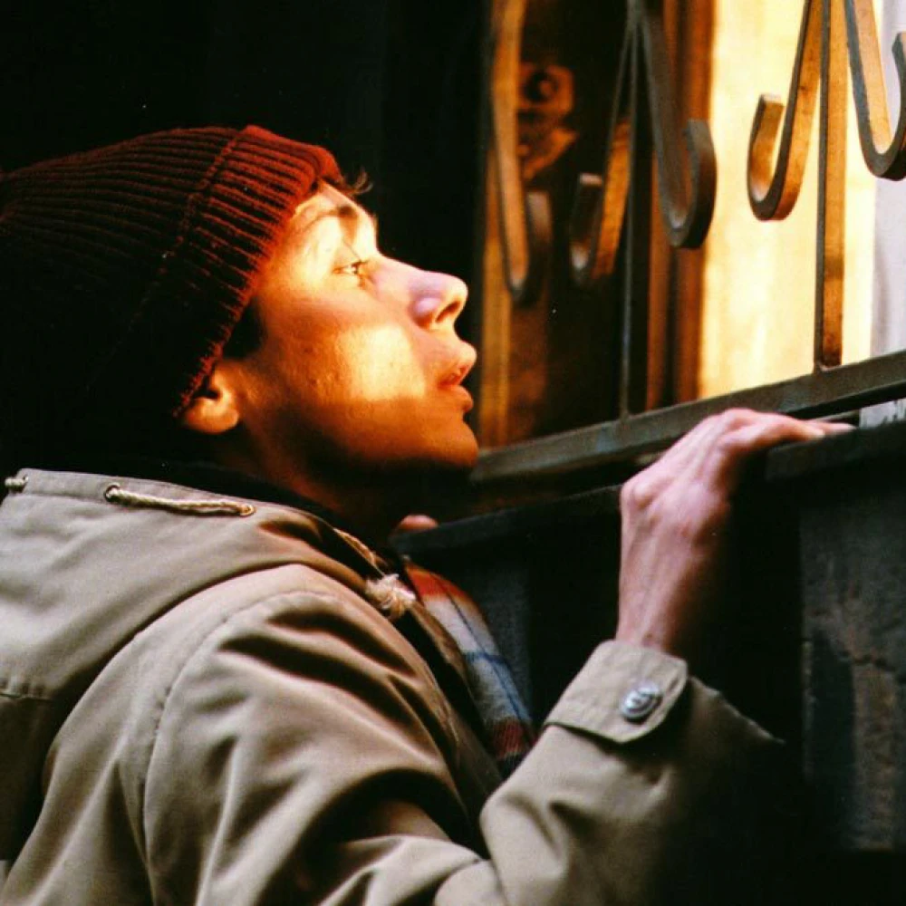 Rooftop Moviehouse: The Idiot Returns