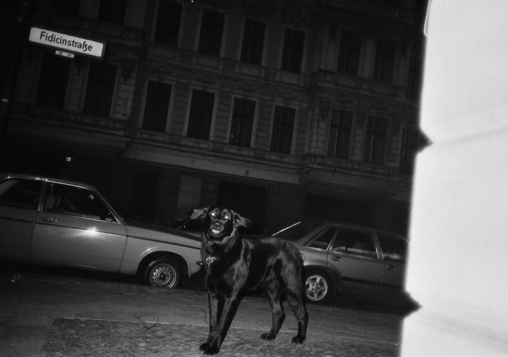 i_m-not-everything-i-want-to-be---still-5__c_libuse-jarcovjakova-1765234385.jpeg