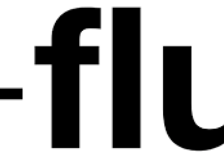 E-Flux