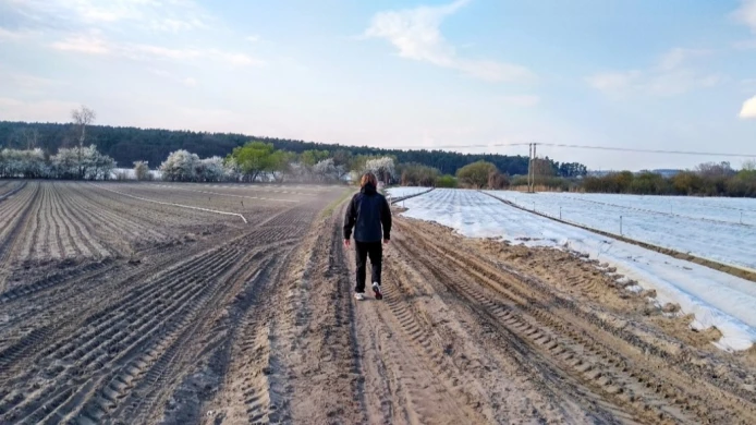 Walking against Stress: a Joint Step Challenge of Czech Centres' Employees