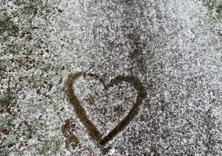 Foto „Sssssněží“ © Zuzana Kabelková, ČC Stockholm