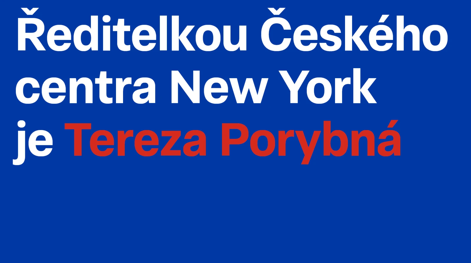 Ředitelkou Českého centra New York je Tereza Porybná. Soustředit se chce na mezigenerační projekty a kinematografii.
