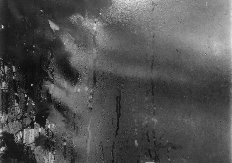Josef Sudek, From the series Still Life on the Window of My Studio, 1944, 23 × 29 cm, from the PPF Art Collection
