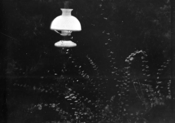 Josef Sudek,Lamp (From the series Rothmayer’s Garden),1954–1959, 28 × 37 cm, from the PPF Art Collection