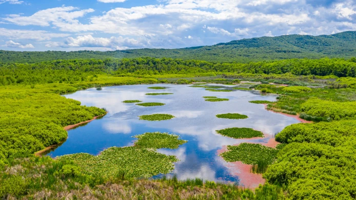 Výstava 