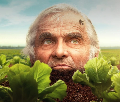 Promítání: Zahradníkův rok