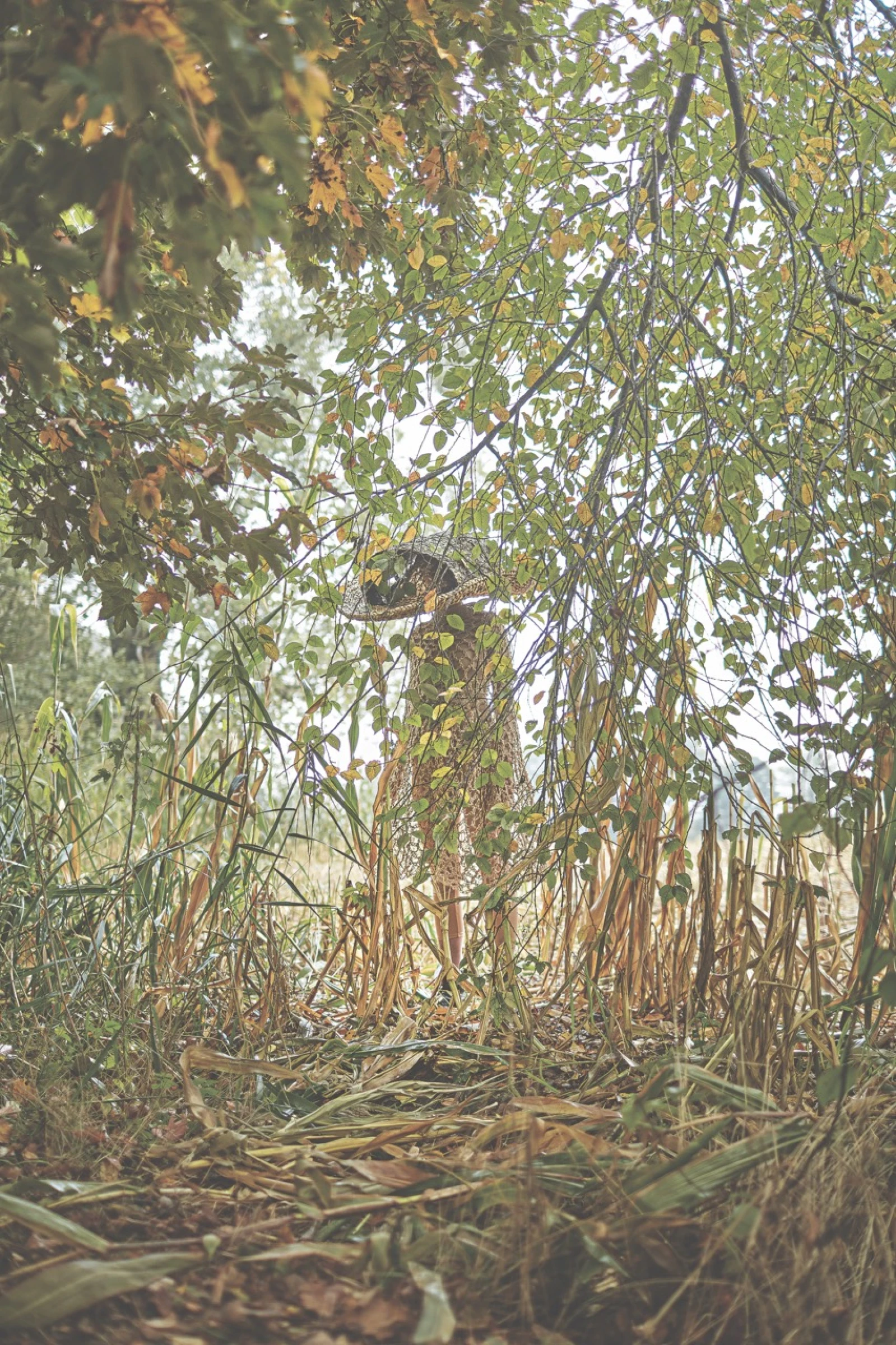 LOOP: EMMA ŠÁDOVÁ
