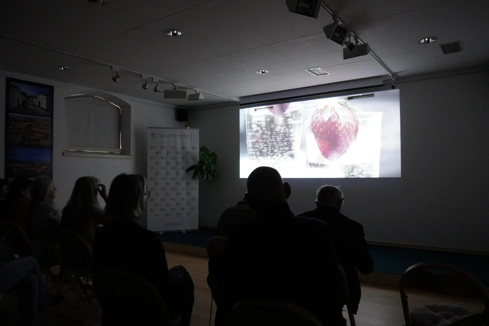 Fotoreport: Promítání filmu Zápisník alkoholičky