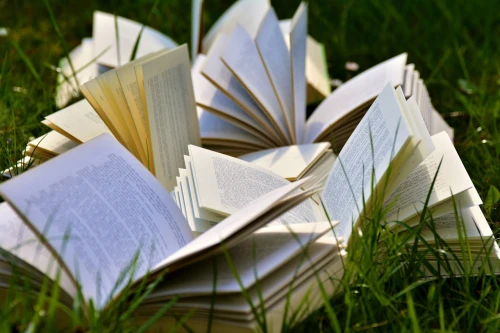 Česká účast na Mezinárodním literárním festivalu v Tbilisi