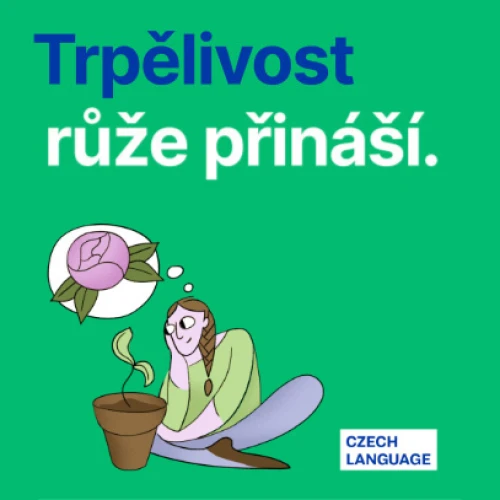 Začínáme kurzy češtiny