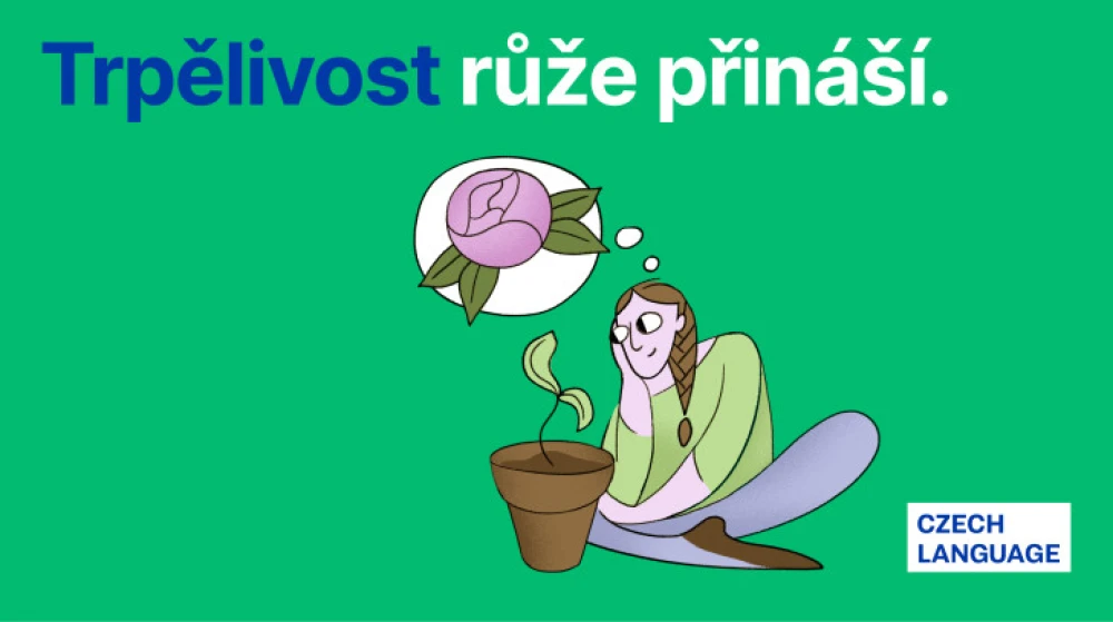 Začínáme kurzy češtiny