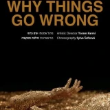 why-things-go-wrong_poster.jpg