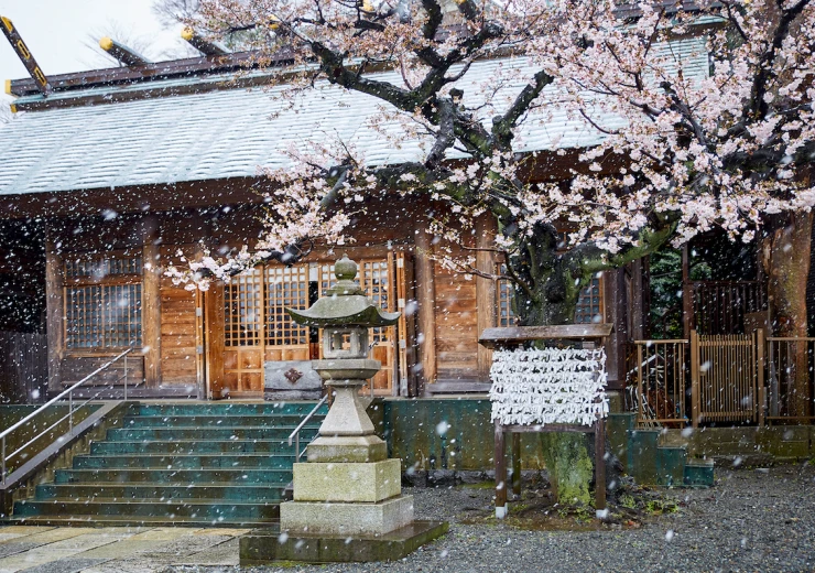 snow-in-yoko.jpg