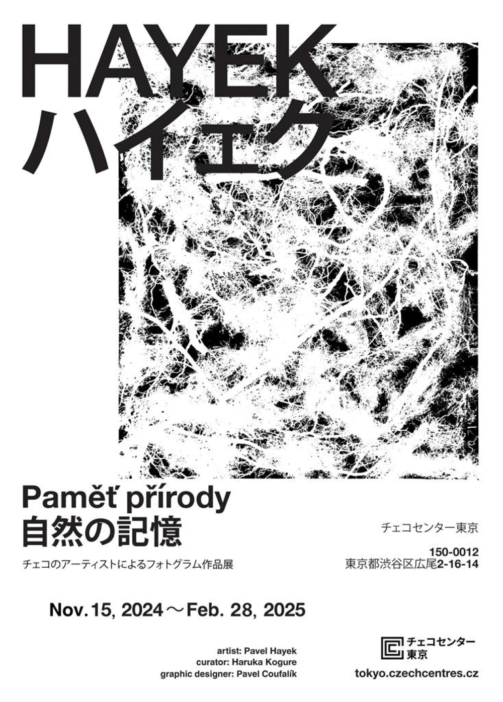 フォトグラム作品展「ハイェク　自然の記憶」