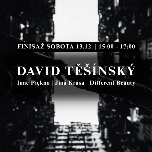 Wystawa David Těšínský: Inne piękno