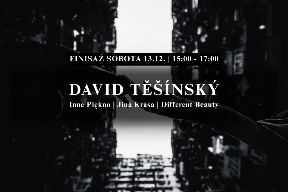 Wystawa David Těšínský: Inne piękno